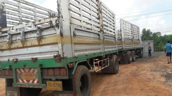 ขาย 1,390,000 สิบล้อคอกเกษตรแม่ลูกไม่ดั้ม HINO MEGA 260 ปี 48 หัวบาง ยางดี คัชซีสวย รถพร้อมใช้ รถอยู่ อุบลารชธานี 090-772-3710 090-772-3708