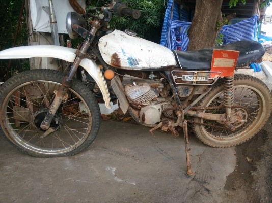 ขาย dt100 มีเล่ม ขายแล้วครับ