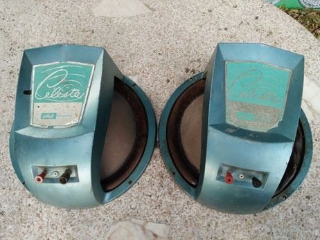 ดอกลำโพง 12 นิ้ว