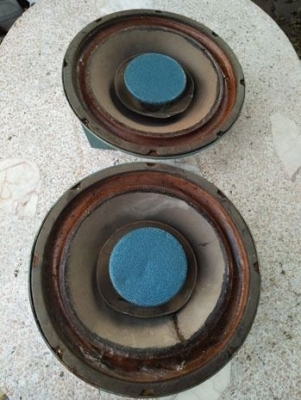 ดอกลำโพง 12 นิ้ว