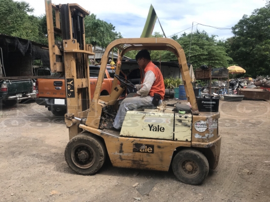 ขายด่วน รถฟอร์คลิฟต์ yale ยก2/5 เสา3เมตร เกียร์ทอร์ค ปั้มแรงเครือง นิสสัน2300ดีเสล ขาย 85000 บาท ขายด่วน รถฟอร์คลิฟต์ yale ยก2/5 เสา3เมตร เกียร์ทอร์ค ปั้มแรงเครือง นิสสัน2300ดีเสล ขาย 85000 บาท