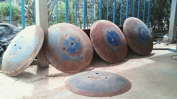 ใบผานกระทู้สามมิตร มี5ใบ