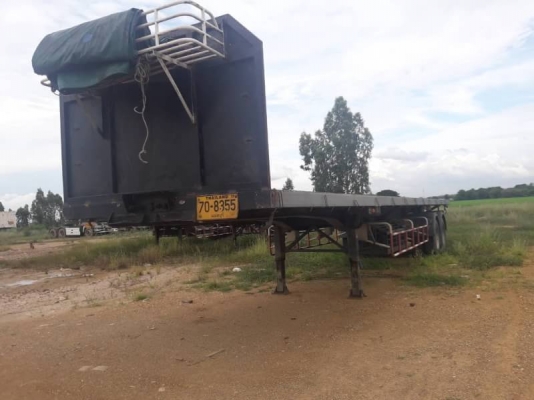 หางพื้นเรียบ PANUS หางพื้นเรียบ PANUS