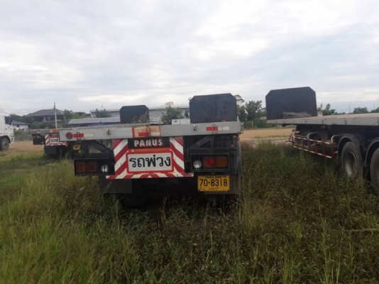 หางพื้นเรียบ PANUS หางพื้นเรียบ PANUS