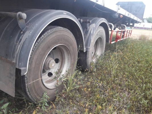 หางพื้นเรียบ PANUS หางพื้นเรียบ PANUS