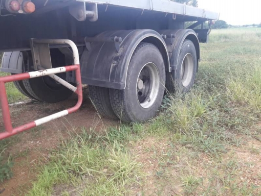 หางพื้นเรียบ PANUS หางพื้นเรียบ PANUS