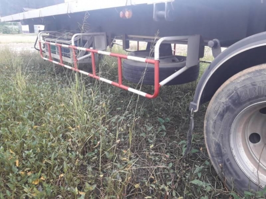 หางพื้นเรียบ PANUS หางพื้นเรียบ PANUS