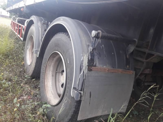 หางพื้นเรียบ PANUS หางพื้นเรียบ PANUS