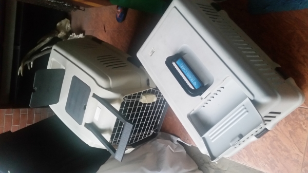 กรงใส่ สุนัข หรือ แมว ( เวลาเดินทาาง )