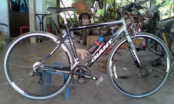 ขายจักรยานทัวริ่ง