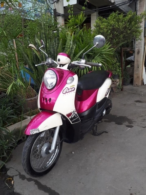 ฟีโน่ เกย์เดียว สีชมพูขาว รถสวย ขับดีน่าใช้มาก ฟีโน่ เกย์เดียว สีชมพูขาว รถสวย ขับดีน่าใช้มาก