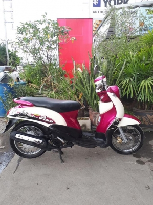 ฟีโน่ เกย์เดียว สีชมพูขาว รถสวย ขับดีน่าใช้มาก ฟีโน่ เกย์เดียว สีชมพูขาว รถสวย ขับดีน่าใช้มาก