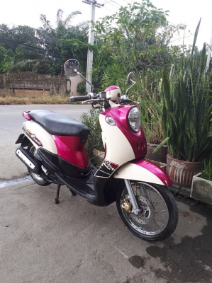 ฟีโน่ เกย์เดียว สีชมพูขาว รถสวย ขับดีน่าใช้มาก