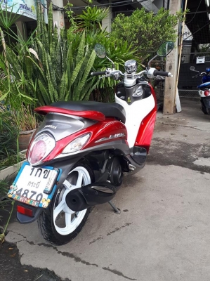 Yamaha Fino FI สีแดงขาวเทา (ล้อแม็กซ์)รุ่น Premium ปี 2556 สวยใสคลาสสิคมาก หัวฉีดรุ่นใหม่ประหยัดน้ำมัน Yamaha Fino FI สีแดงขาวเทา (ล้อแม็กซ์)รุ่น Premium ปี 2556 สวยใสคลาสสิคมาก หัวฉีดรุ่นใหม่ประหยัดน้ำมัน