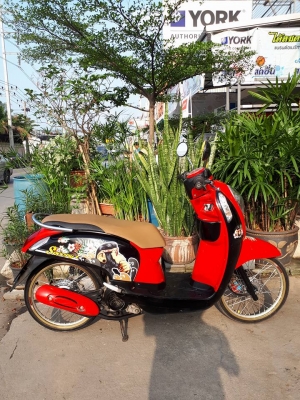All New Honda Scoopy i ปี 2557 สีดำแดง ลาย Monkey DO รถสวยมาก หัวฉีดรุ่นใหม่ All New Honda Scoopy i ปี 2557 สีดำแดง ลาย Monkey DO รถสวยมาก หัวฉีดรุ่นใหม่