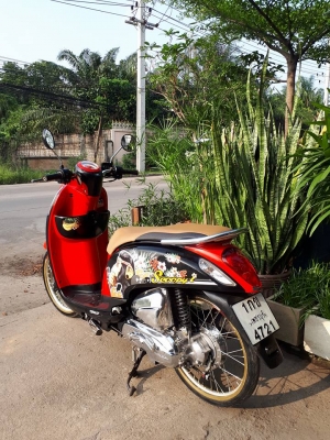 All New Honda Scoopy i ปี 2557 สีดำแดง ลาย Monkey DO รถสวยมาก หัวฉีดรุ่นใหม่
