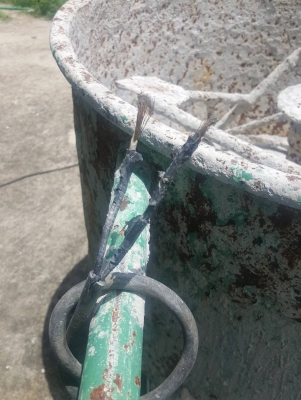 ขายโม่ปูนฉาบพร้อมมอเตอร์ไฟบ้าน