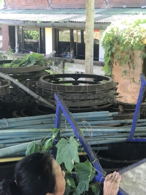 ขายเหมา แบบท่อ หลายขนาด หลายไซค์ คับผม