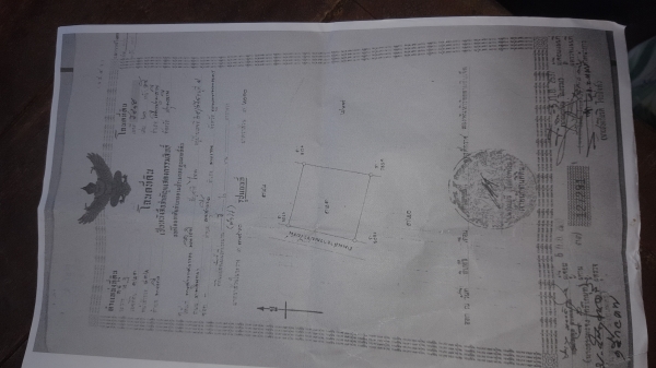 ขายที่5ไร่ไร่ละ6ล้านสนใจโทร0643130366