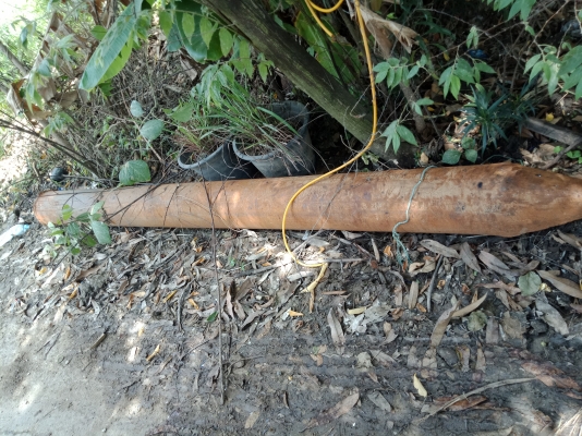 ขายเข็มนำ