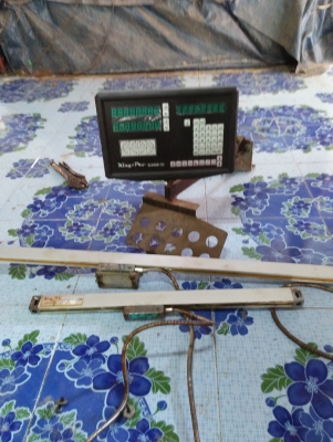 ลิเนียสเกลkingpro ลิเนียสเกลkingpro