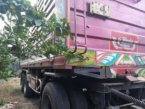 ขายรถพ่วง isuzu 360แรง ปี53 ดั้ม