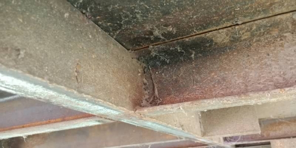 หางเทนเลอร์