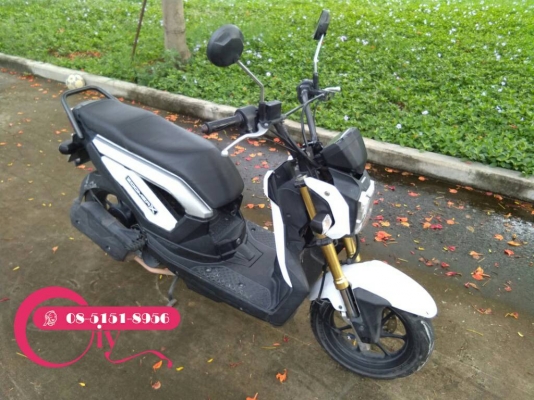 HONDA ZOOMER X ปี 55 ภาษีไม่ขาด เอกสารครบ รถสวยเดิมๆ ลองขับได้ HONDA ZOOMER X ปี 55 ภาษีไม่ขาด เอกสารครบ รถสวยเดิมๆ ลองขับได้
