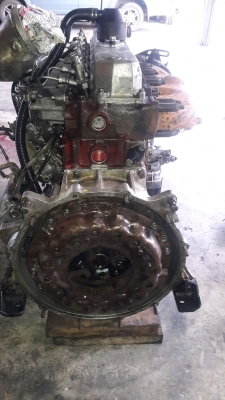 HO7D#195แรงม้าสวยๆงามๆตามแบบฉบับของวุศอะไหล่ครับ