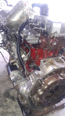 HO7D#195แรงม้าสวยๆงามๆตามแบบฉบับของวุศอะไหล่ครับ