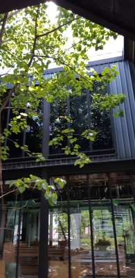 เหล็กบีม 200×200ยาว 18เมตรมี45ตัน โลละ17บาท เหล็กบีม 200×200ยาว 18เมตรมี45ตัน โลละ17บาท