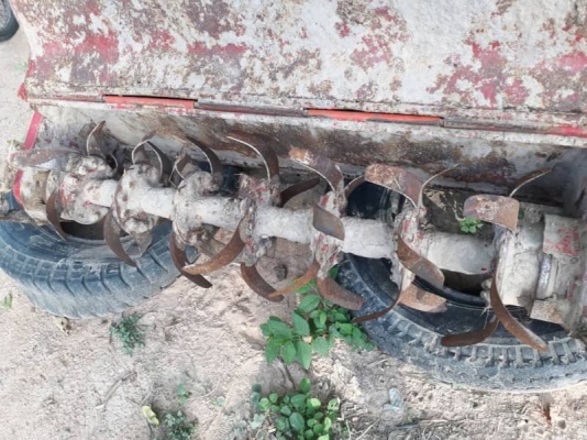 โลตาลี่