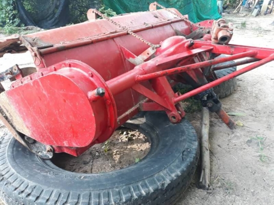 โลตาลี่