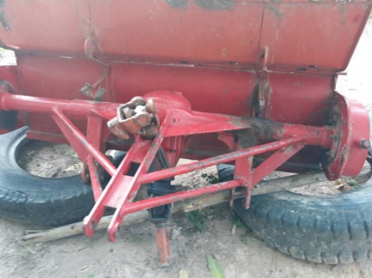 โลตาลี่