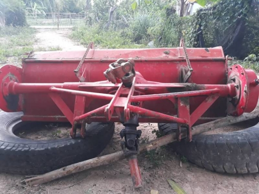 โลตาลี่