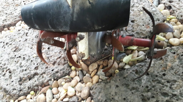 ขายรถพรวนดิน robin 411 แบบตั๊กแตน