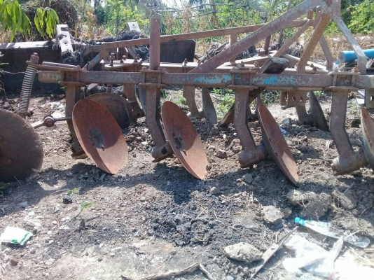 ผานบุกเบิก4ใบสนใจติดต่อมาถามใด้คับ ผานบุกเบิก4ใบสนใจติดต่อมาถามใด้คับ