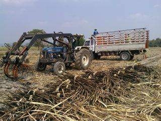 รถคีบอ้อย