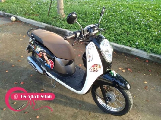 HONDA SCOOPY i ปี 57 รถเดิมๆขับดี ภาษีไม่ขาด เอกสารครบ ลองขับได้ที่เคหะร่มเกล้า ลาดกระบัง HONDA SCOOPY i ปี 57 รถเดิมๆขับดี ภาษีไม่ขาด เอกสารครบ ลองขับได้ที่เคหะร่มเกล้า ลาดกระบัง