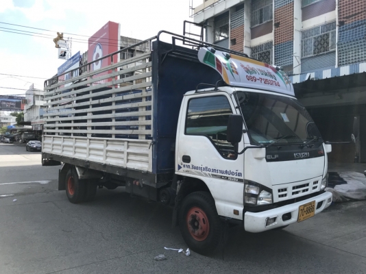 รถ 6 ล้อกระบะบรรทุก ยี่ห้ออีซูซุ รุ่น NQR ขนาด 175 แรงม้า จดทะเบียนปี 2549 มีประกันชั้น 3 พึ่งทำ 12/ รถ 6 ล้อกระบะบรรทุก ยี่ห้ออีซูซุ รุ่น NQR ขนาด 175 แรงม้า จดทะเบียนปี 2549 มีประกันชั้น 3 พึ่งทำ 12/