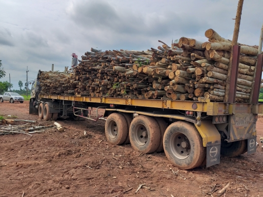 ขายด่วน ISUZU DEGA 270 แรง ปึ47 ยูโร่1 สภาพพร้อมใช้งาน เครื่องเกียร์ดี คัชชีสวย ยางพร้อมใช้งาน เกียร์ อิตั้น เอกสารเล่มทะเบียน ขายพร้อมหาง พื้นเรียบ สามเพลา สนใจสอบถามไว้ใช้งาน 093 0764943 คุณ ตั้ม