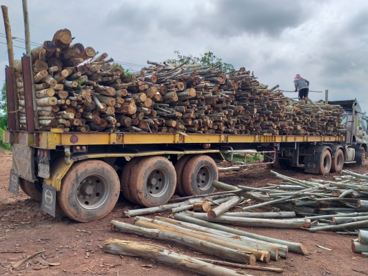 ขายด่วน ISUZU DEGA 270 แรง ปึ47 ยูโร่1 สภาพพร้อมใช้งาน เครื่องเกียร์ดี คัชชีสวย ยางพร้อมใช้งาน เกียร์ อิตั้น เอกสารเล่มทะเบียน ขายพร้อมหาง พื้นเรียบ สามเพลา สนใจสอบถามไว้ใช้งาน 093 0764943 คุณ ตั้ม