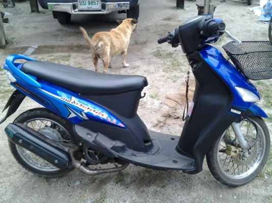 ขออนุญาตขายMio