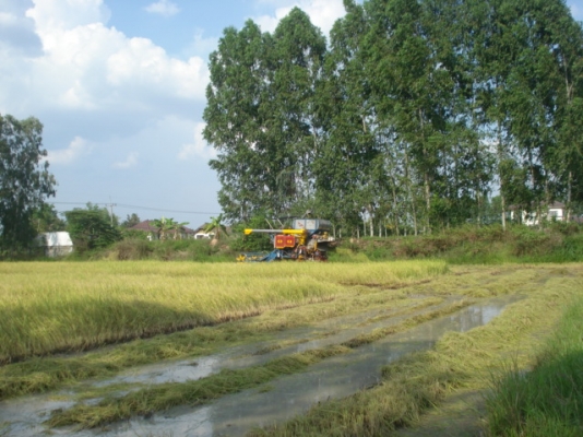 รถเกี่ยวข้าวขายแล้วครับขายไปเพชรบุรีเหลือ10ล้อหัวยาวขาย345000 ติดต่อ 0881196251