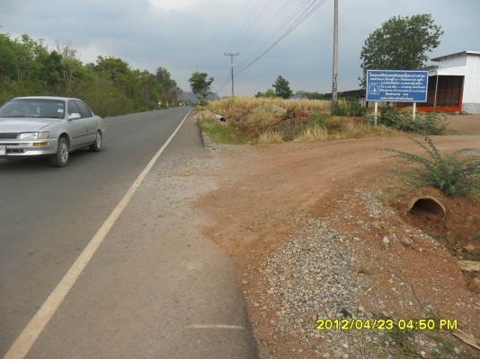 ขายสวนยางพารา ขายสวนยางพารา