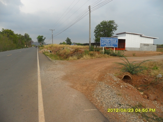 ขายสวนยางพารา ขายสวนยางพารา