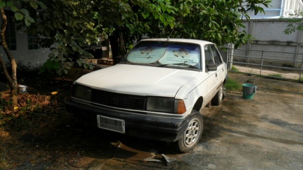 ซากเปอโยต์ 305