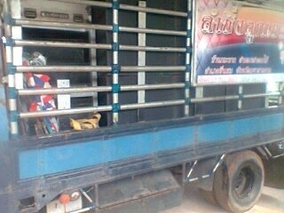 ขาย NPR 115 HP 4.3 เมตร