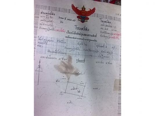 ในตัวเมือง เขตเทศบาล