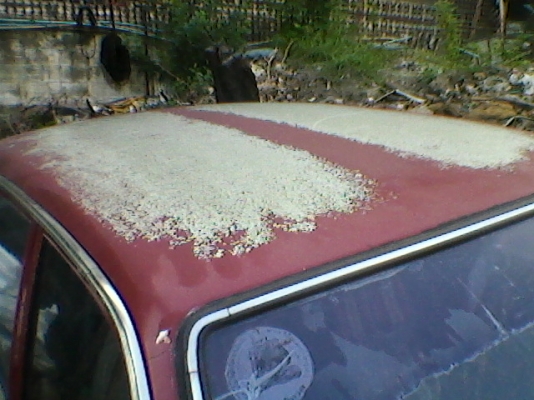 คอเรโทรต้องดู++Datsun 120Y เดิมสุดๆขับกลับได้เลย พร้อมโอน ลดเหลือแค่25000บ.!!